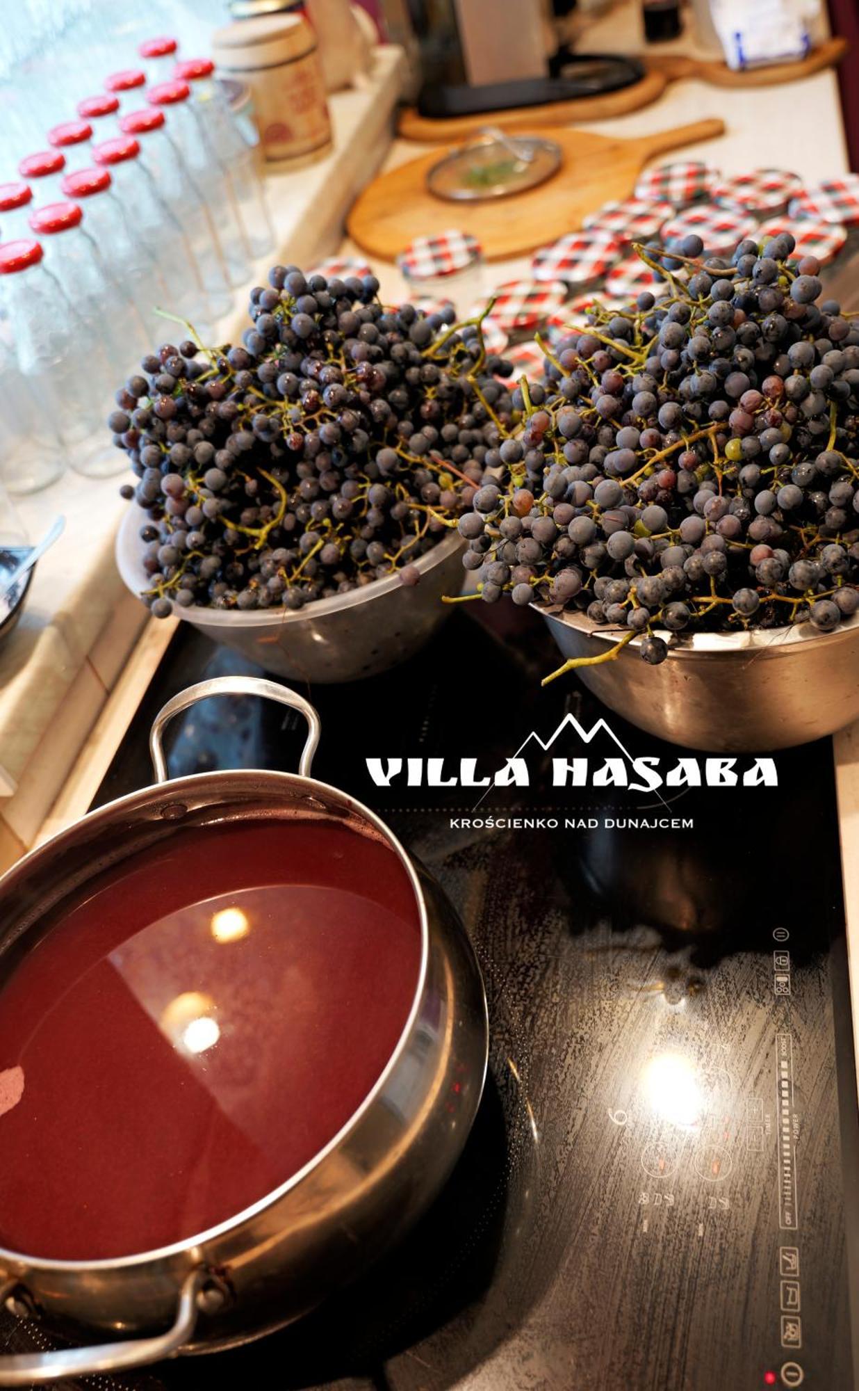 Villa Hasaba Krościenko Buitenkant foto