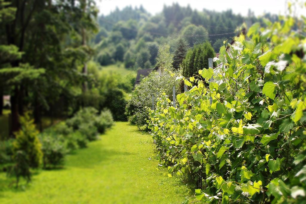 Villa Hasaba Krościenko Buitenkant foto